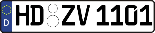 HD-ZV1101