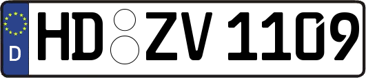 HD-ZV1109