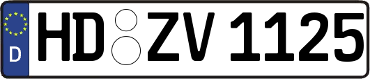 HD-ZV1125