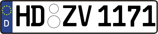 HD-ZV1171