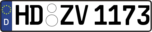 HD-ZV1173