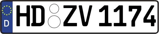 HD-ZV1174