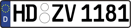 HD-ZV1181