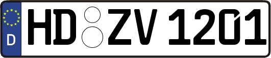 HD-ZV1201
