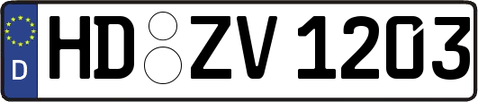HD-ZV1203