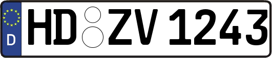 HD-ZV1243