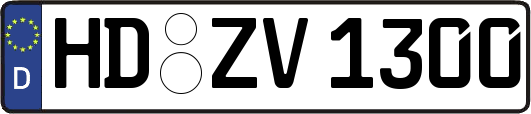 HD-ZV1300