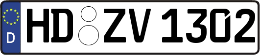 HD-ZV1302