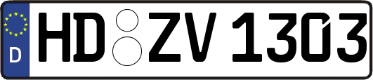 HD-ZV1303