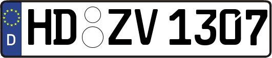 HD-ZV1307