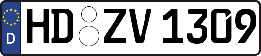 HD-ZV1309