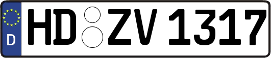 HD-ZV1317