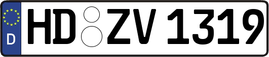 HD-ZV1319
