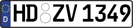 HD-ZV1349