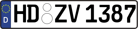HD-ZV1387