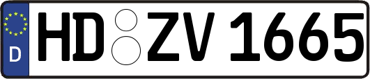 HD-ZV1665