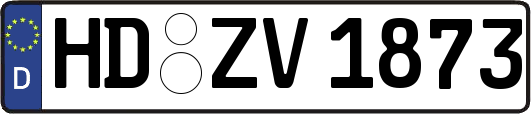 HD-ZV1873