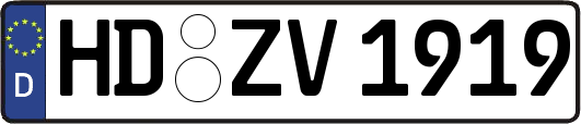 HD-ZV1919