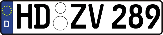 HD-ZV289