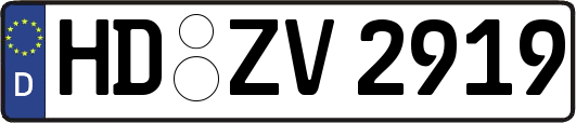 HD-ZV2919