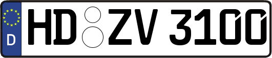 HD-ZV3100