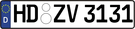 HD-ZV3131