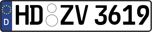 HD-ZV3619