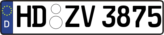 HD-ZV3875