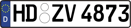 HD-ZV4873