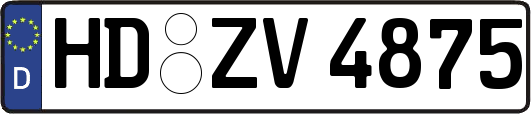 HD-ZV4875