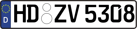 HD-ZV5308
