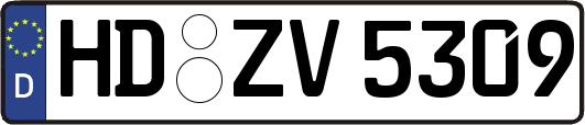 HD-ZV5309