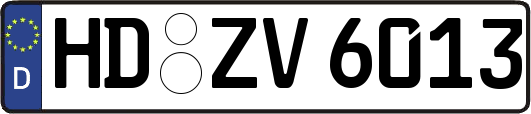 HD-ZV6013