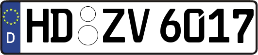 HD-ZV6017