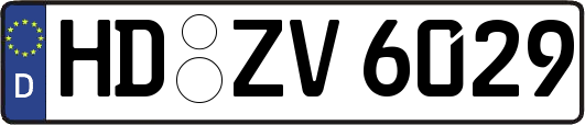 HD-ZV6029