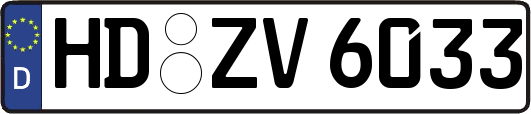 HD-ZV6033