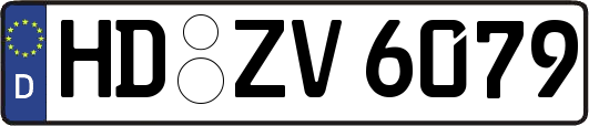 HD-ZV6079