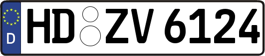 HD-ZV6124