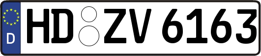 HD-ZV6163