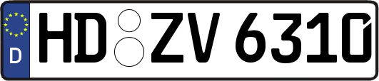 HD-ZV6310