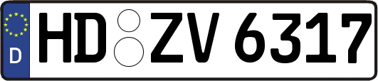 HD-ZV6317