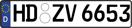 HD-ZV6653