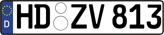 HD-ZV813