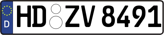 HD-ZV8491
