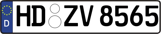 HD-ZV8565