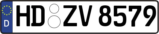HD-ZV8579