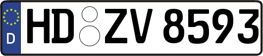 HD-ZV8593