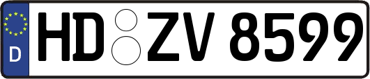 HD-ZV8599