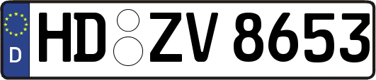 HD-ZV8653