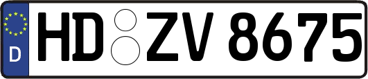HD-ZV8675